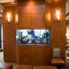 Отель Hilton Garden Inn Palm Coast Town Center, фото 1