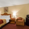 Отель Comfort Inn, фото 6