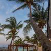 Отель Lotus Beach Hotel - Adults Only, фото 13
