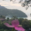 Отель Phi Phi Sea and Hill, фото 37