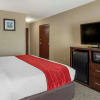 Отель Comfort Inn & Suites FM1960-Champions, фото 42