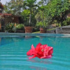 Отель Bungalows Las Rosas, фото 8
