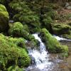 Отель Otsu Nature Garden, фото 37