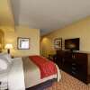 Отель Comfort Inn & Suites Donna near I-2, фото 5