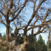 Отель Hostal Cañamares, фото 19