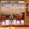 Отель Rhino Safari Camp, фото 34