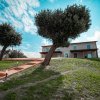 Отель Agriturismo Il Colle Dei Lecci, фото 8