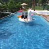 Отель The Sunbeam Hideaway Bed & Breakfast, фото 18