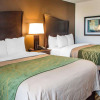 Отель Comfort Inn & Suites, фото 4