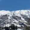 Отель Hakuba Ski Condos, фото 8