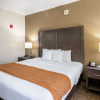 Отель Comfort Inn, фото 43