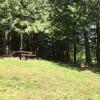 Отель 97MF - Lakeside - Dock - BBQ - Pets Ok - Sleeps 6, фото 16