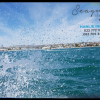 Отель Seagulls Guest House, фото 24