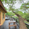 Отель Kruger Adventure Lodge, фото 16