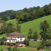 Отель Landgasthof Grüner Baum, фото 9