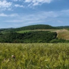 Отель Agriturismo Spereta, фото 18