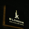 Отель JK Blossom Hotel, фото 35