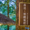 Отель Wuyi Mountain Ancient Street Forest Living England Time Inn, фото 43