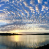 Отель Overbridge River Resort, фото 17