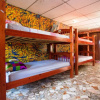 Отель Hostal Portobelo - Hostel, фото 10