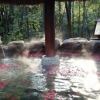 Отель Tianmushan Hotspring Hotel, фото 10