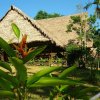 Отель Amazonas Sinchicuy Lodge, фото 34