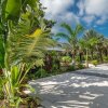 Отель Cayman Luxury Rentals at The Grove, фото 16