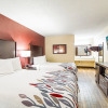 Отель Red Roof Inn Columbia, SC Airport, фото 5