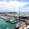 Отель Pelicanstay At Auckland Cbd, фото 30