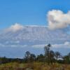 Отель Kimana Amboseli Camp, фото 33