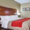 Отель Comfort Inn, фото 3
