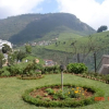 Отель ONELOVEDALE Blusalz Homes, фото 5