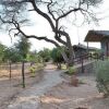 Отель Sentrim Samburu Lodge, фото 35