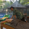 Отель Coconut Boutique Resort, фото 26
