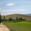 Отель Tuscan Farmhouse in Peccioli with Swimming Pool near Lakes, фото 39