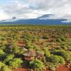 Отель Amboseli Eco Camp, фото 5