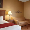 Отель Best Western Plus Albert Lea I-90/I-35 Hotel, фото 3