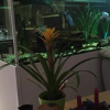 Отель Homestay Gorg Preca, фото 1