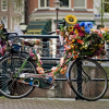Отель Beautiful Apartment in the Heart of the Amsterdam Centre, фото 2