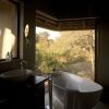 Отель The River Lodge At Thornybush, фото 8