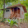 Отель Selva Bananito Lodge, фото 17