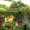 Отель Incenso Fine Studio in quiet Residence with Garden and Rooftop, фото 18