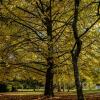 Отель Parc de L'Aiguade, фото 11