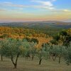 Отель Hill-view Apartment in Lucignano With Private Terrace, фото 6