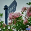 Отель Shanghai East Linxishe Homestay, фото 8