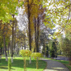 Отель Residence Park, фото 26