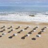 Отель Embassy Suites By Hilton St Augustine Beach-Oceanfront Resort, фото 22