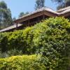 Отель Bwindi Forest Lodge, фото 5