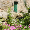 Отель Wydon Farm Bed and Breakfast, фото 17