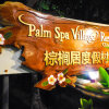 Отель Palm Spa Village, фото 21
